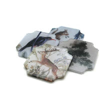 Singh Collection Coasters