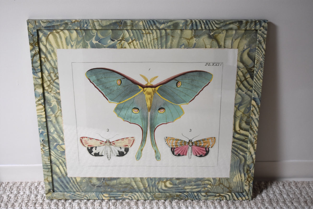 Pair of Custom Moths with Marbleized Frame
