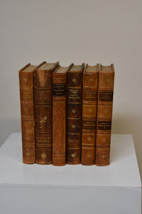 Set of 6 Assorted Antique Books