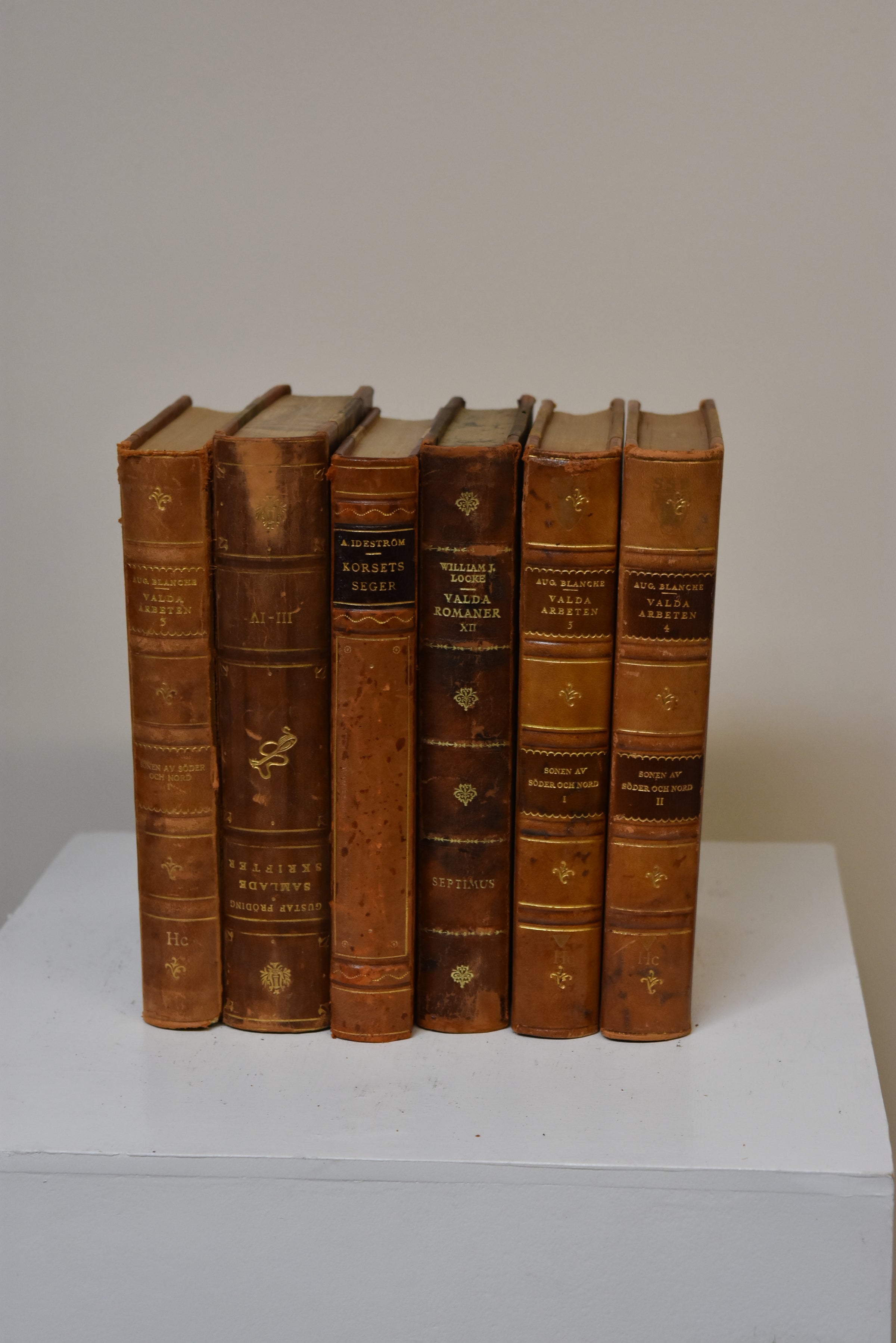 Set of 6 Assorted Antique Books