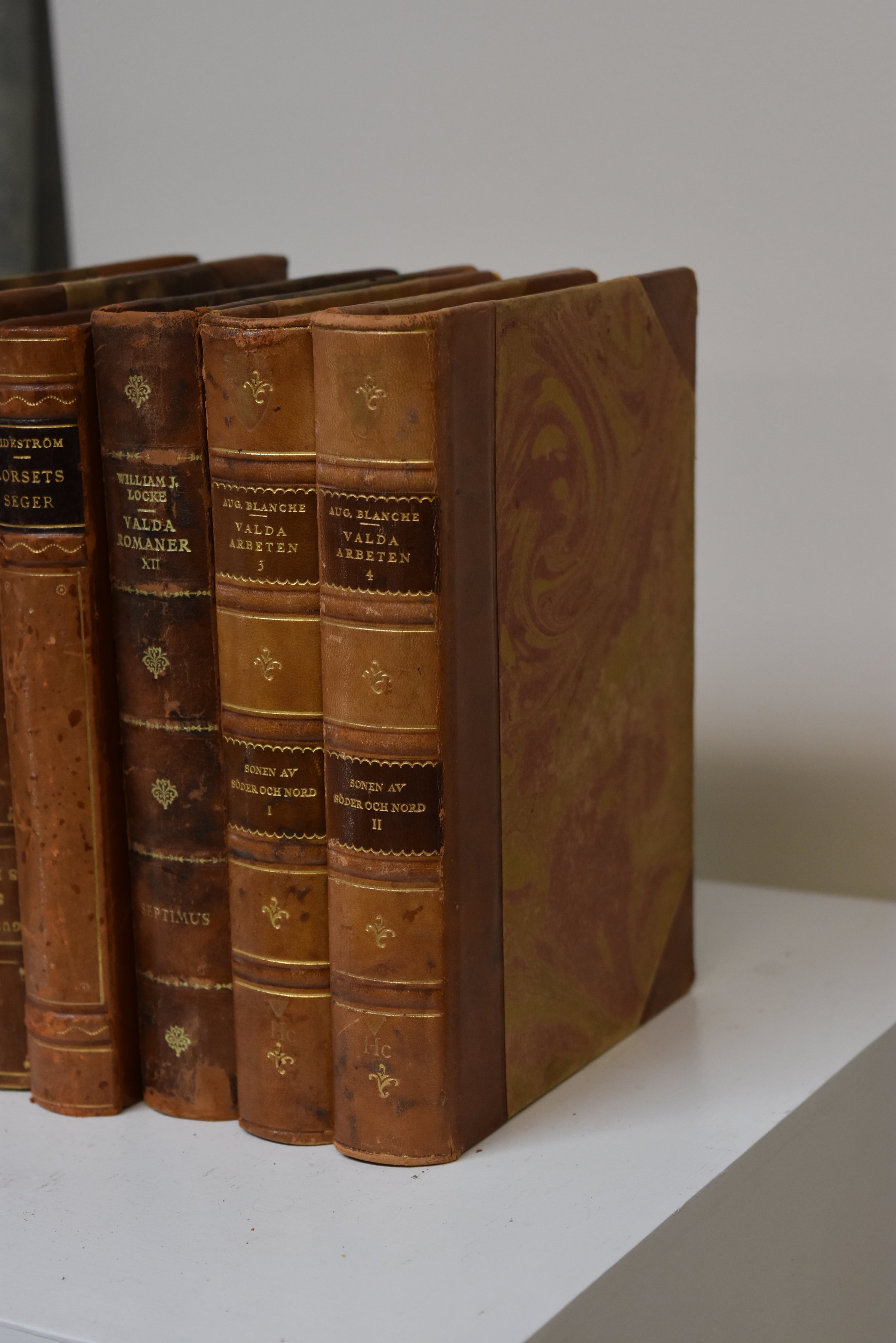 Set of 6 Assorted Antique Books