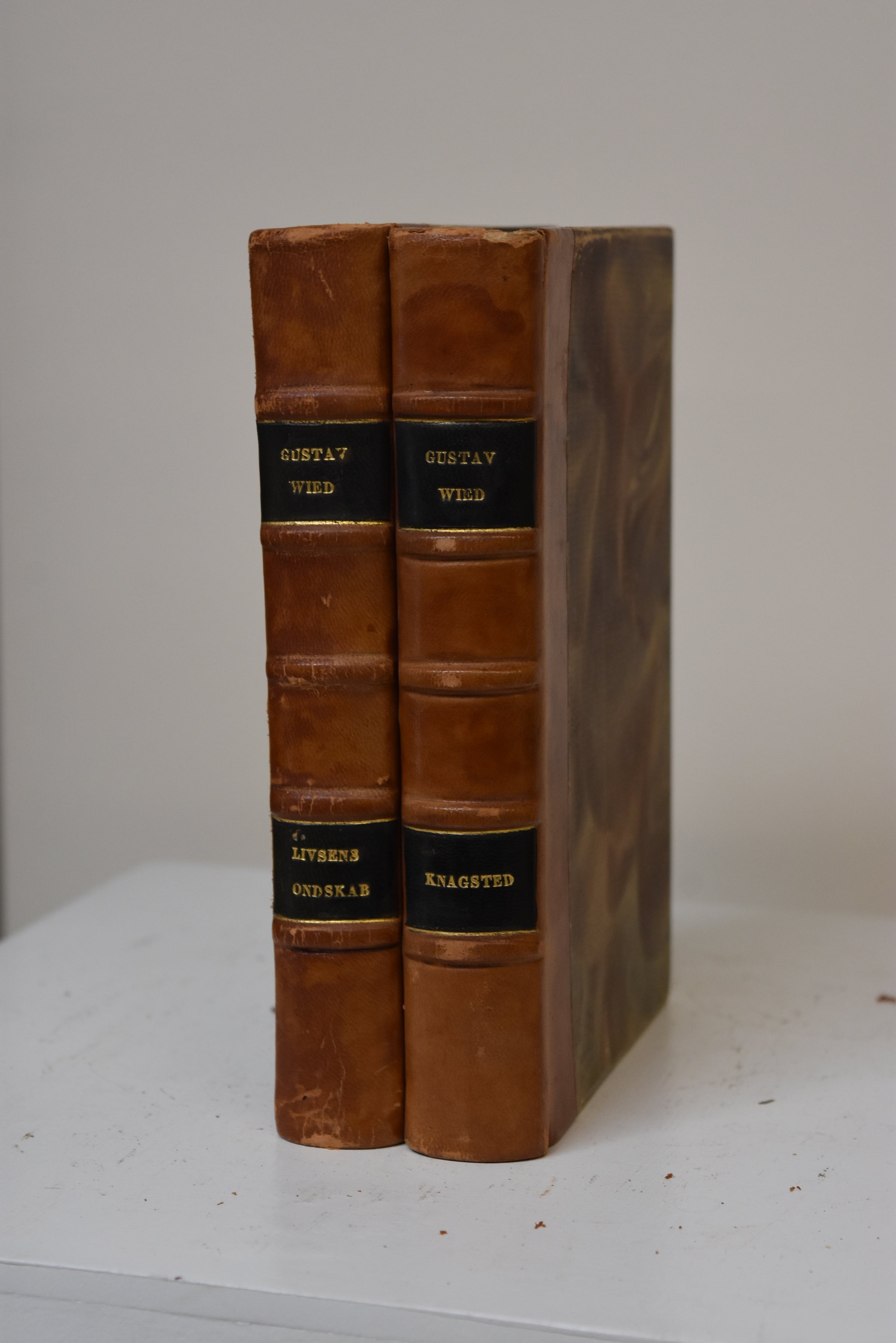 Set of 2 Gustav Wied Antique Books