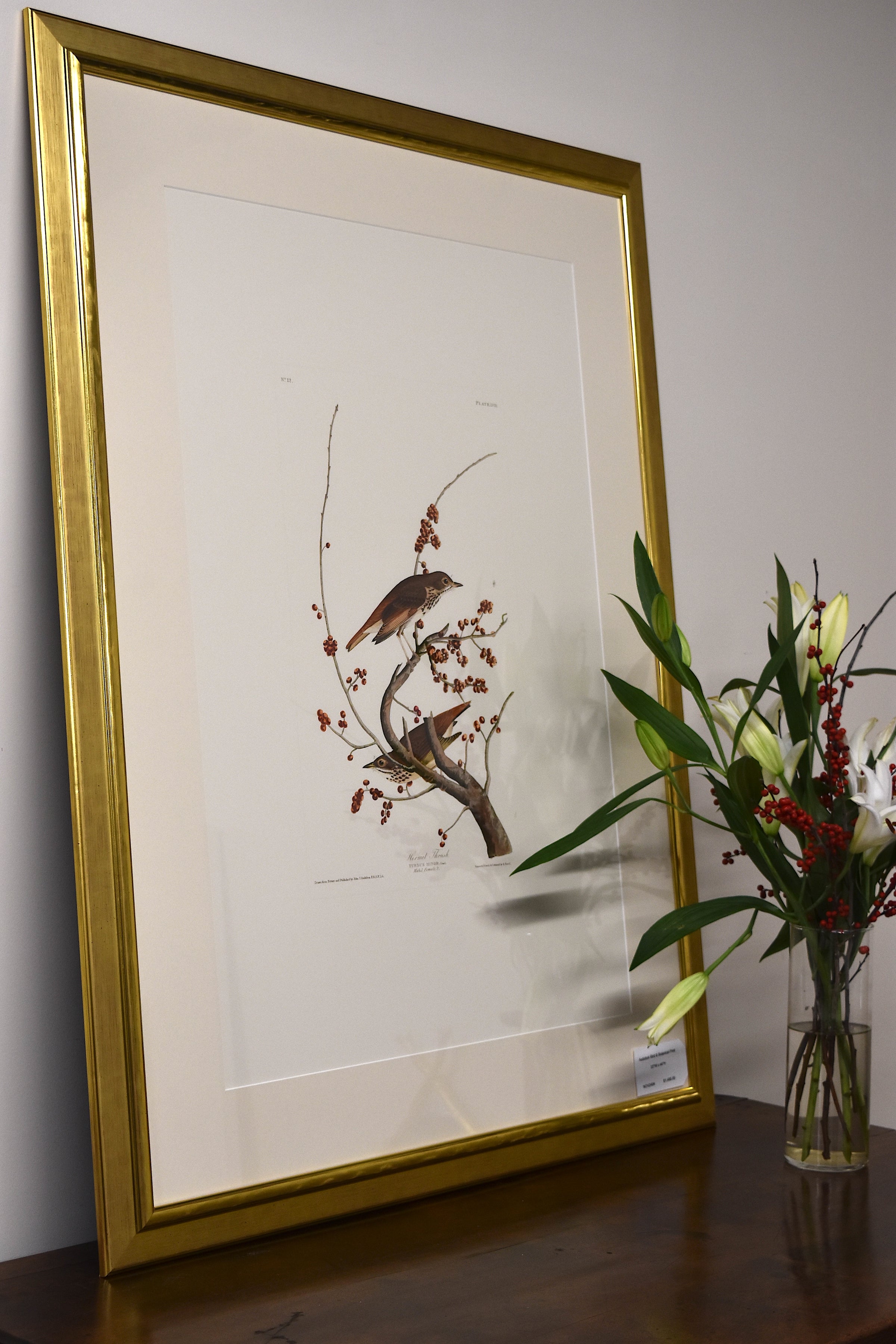 Audubon Bird & Botanical Print No.1