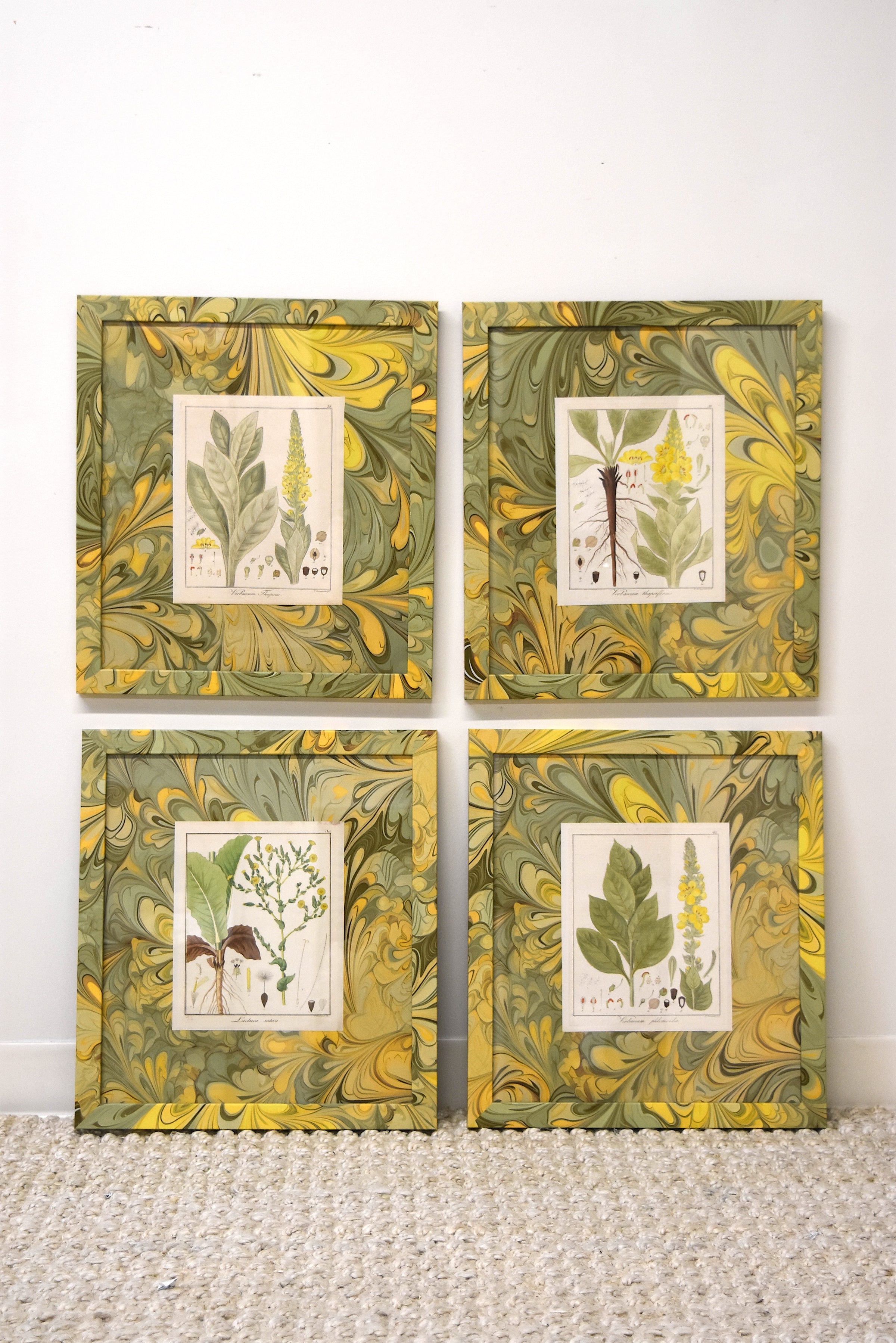 Set of Four Marbleized Botanical Prints From 1817