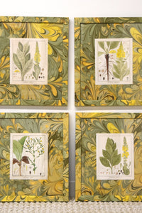 Set of Four Marbleized Botanical Prints From 1817