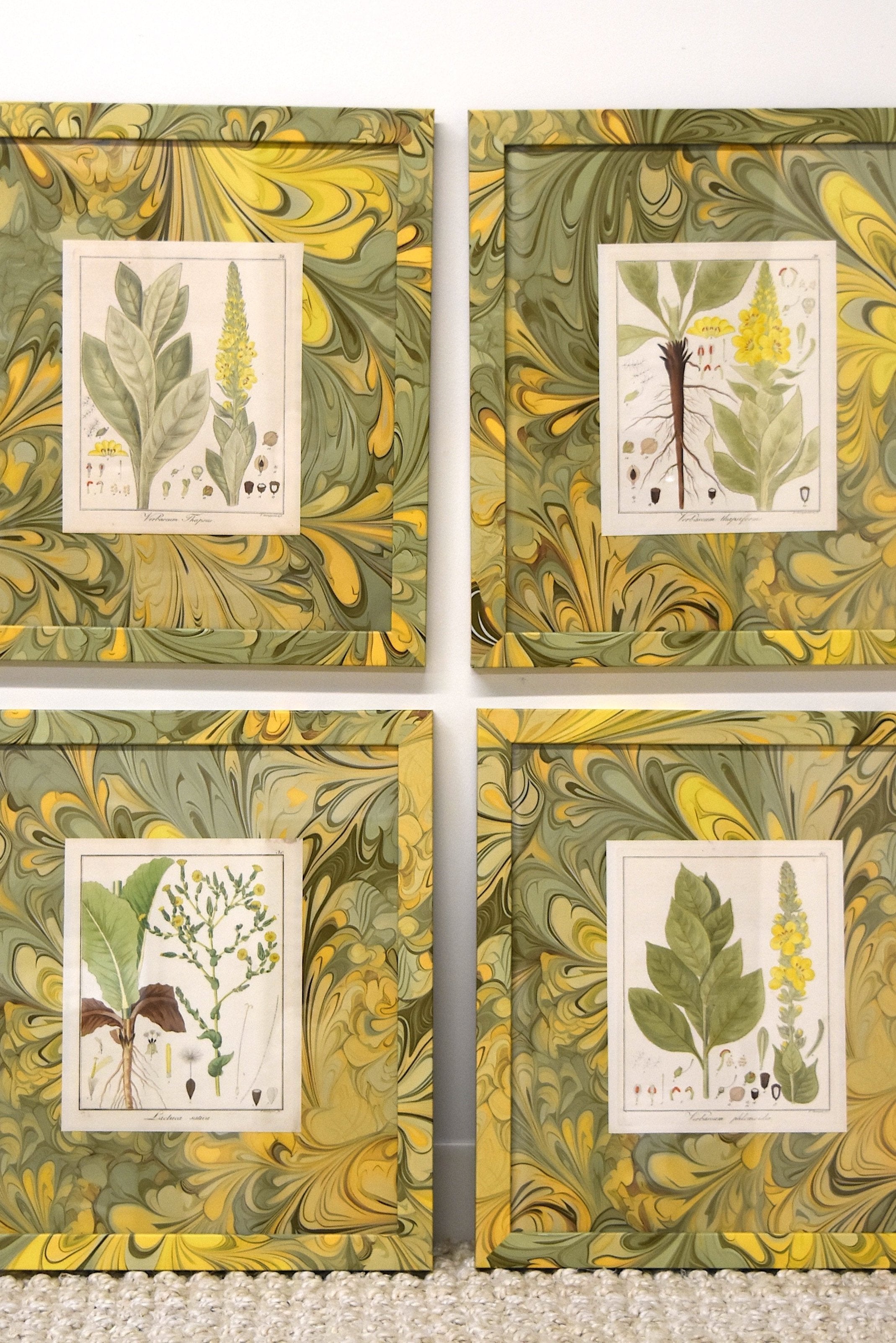 Set of Four Marbleized Botanical Prints From 1817