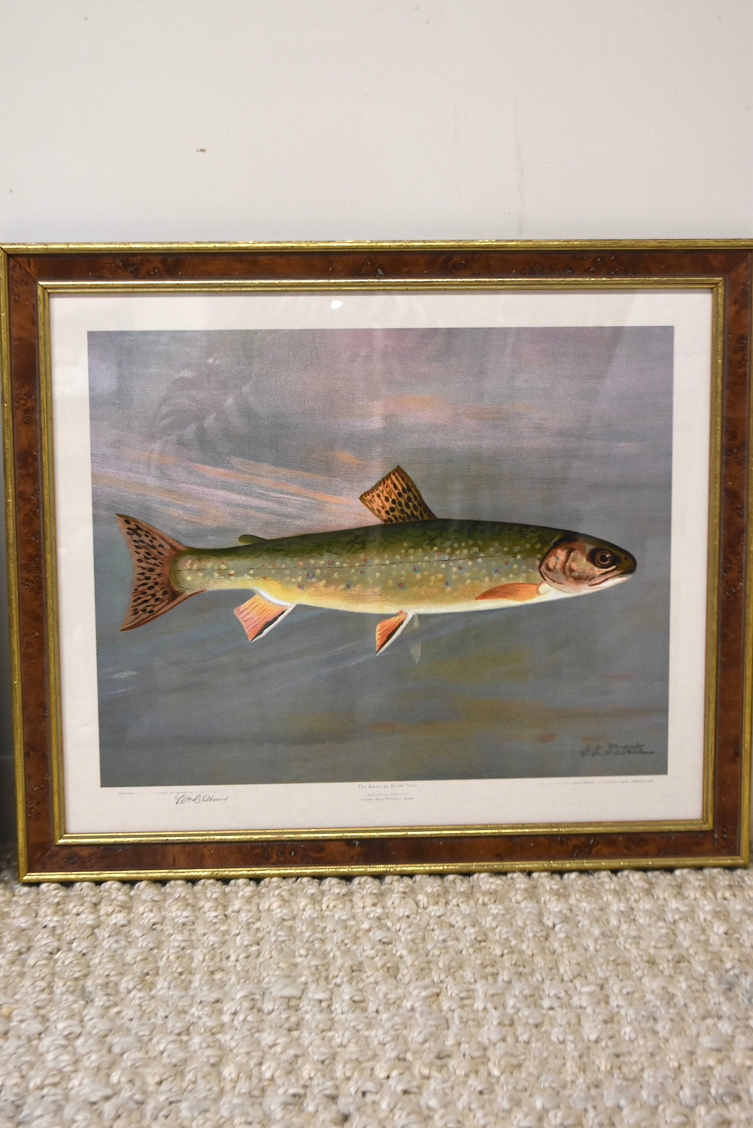 Pair of American Fish Prints