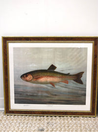 Pair of American Fish Prints