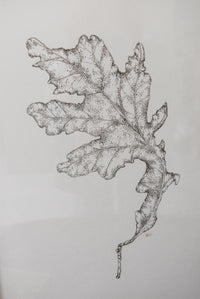 Monochromatic Leaf Sketch No.4 by Melody Trivisone