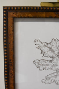 Monochromatic Leaf Sketch No.4 by Melody Trivisone