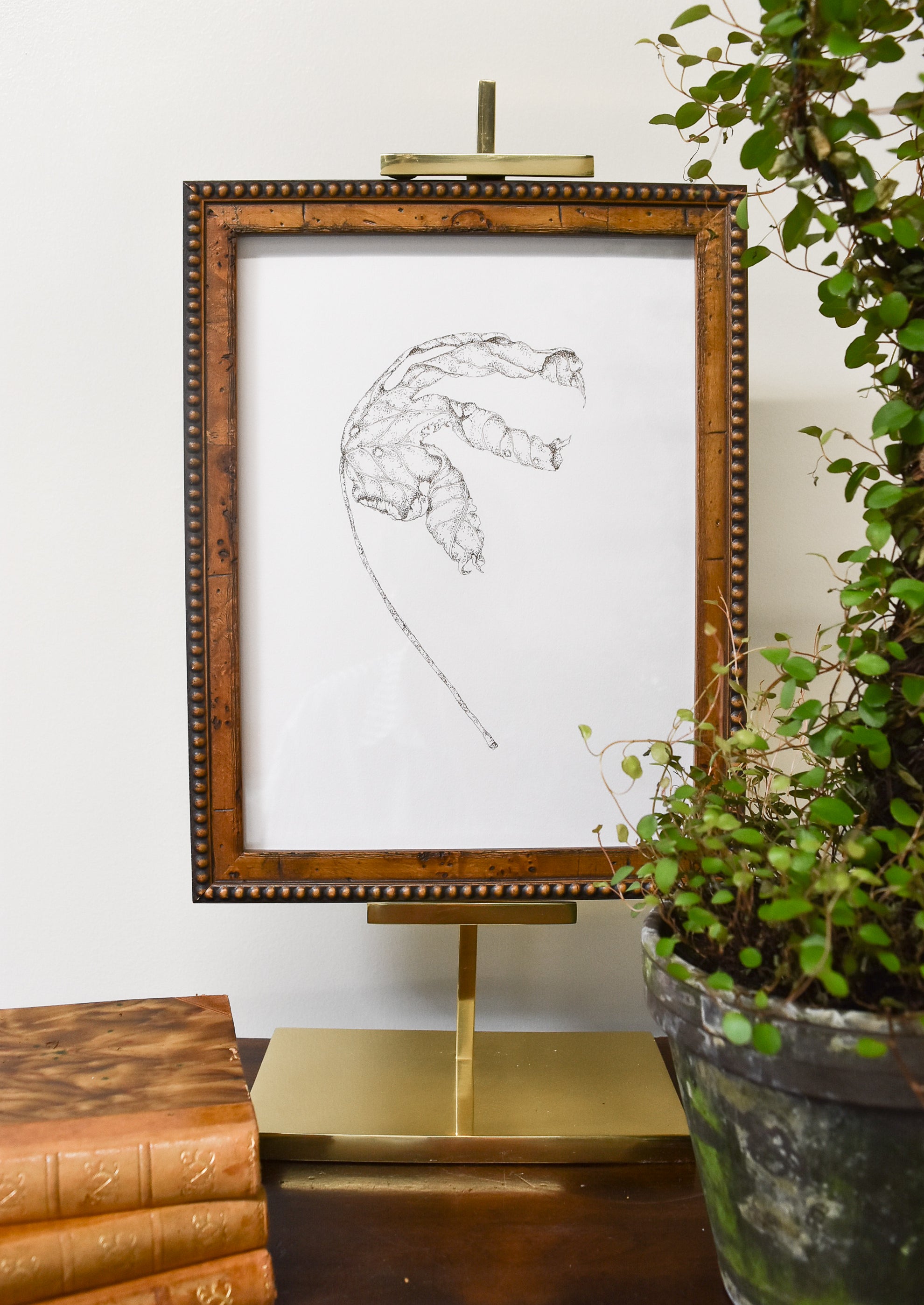 Monochromatic Leaf Sketch No.7 by Melody Trivisone