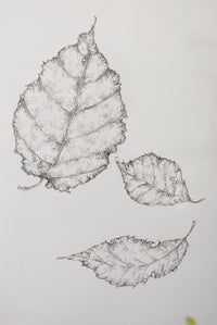 Monochromatic Leaf Sketch No.8 by Melody Trivisone