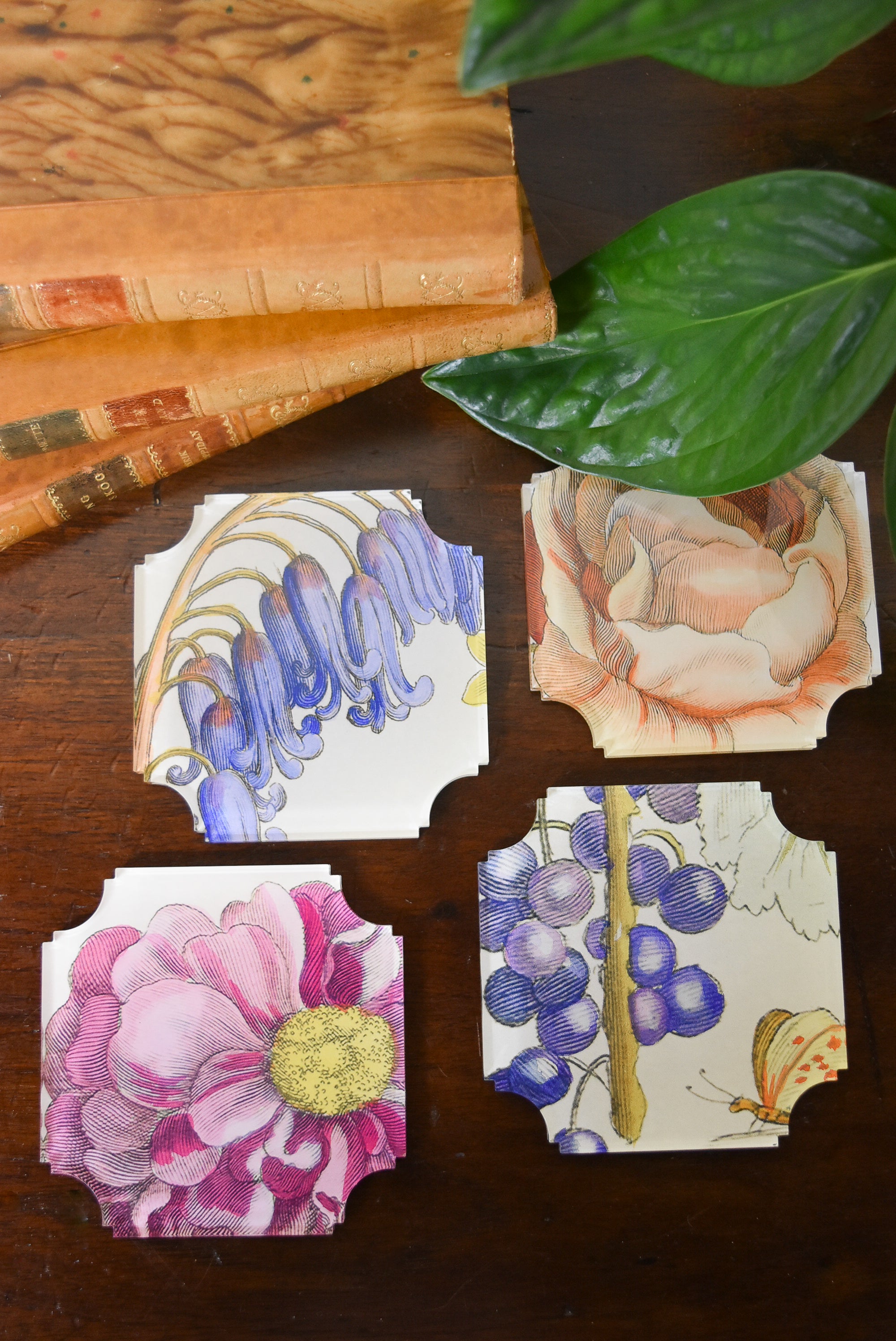 Set of 4 Hollar Floral Coaster Set