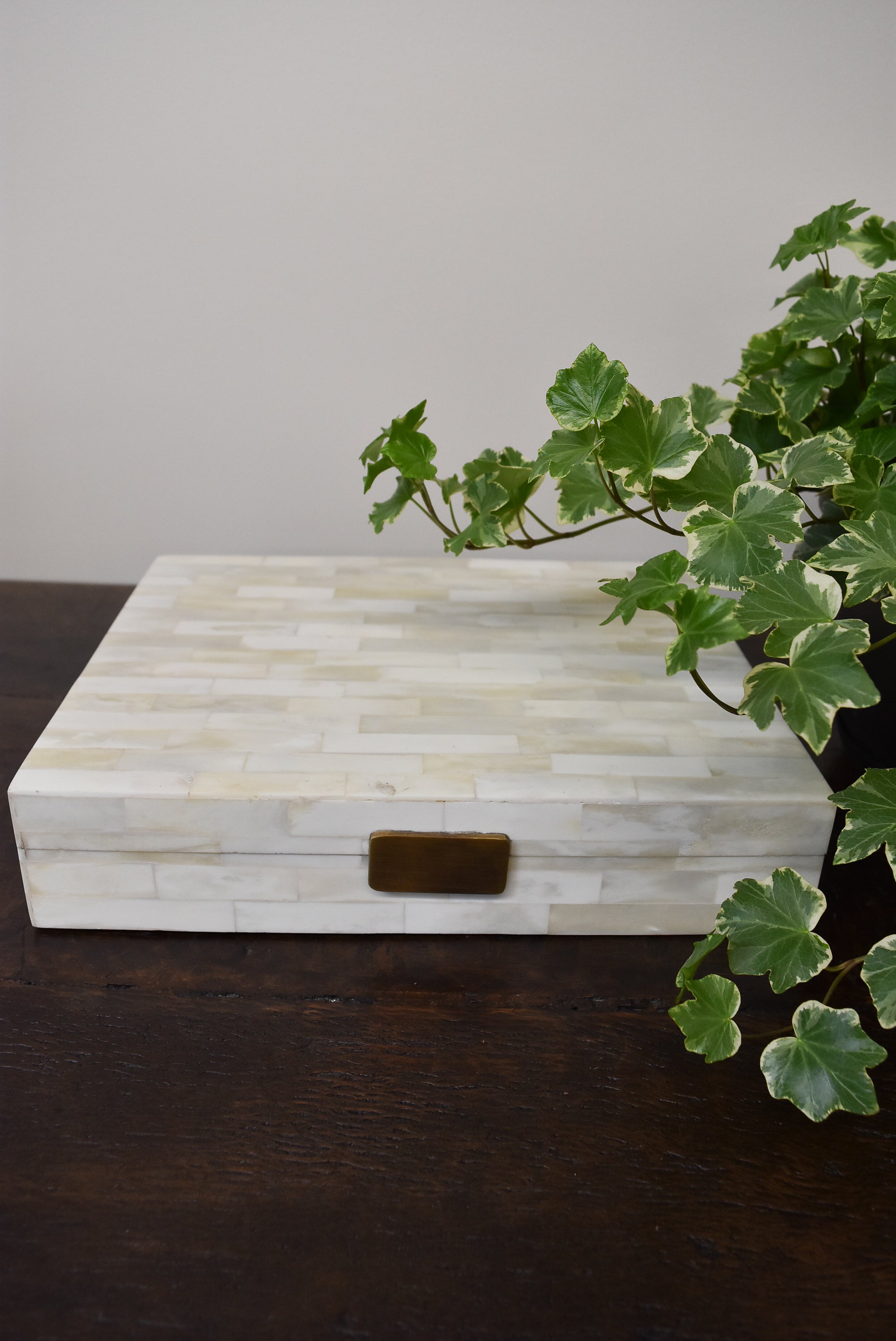 Large Inlay Bone Box with Brass Accent