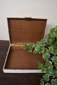 Large Inlay Bone Box with Brass Accent