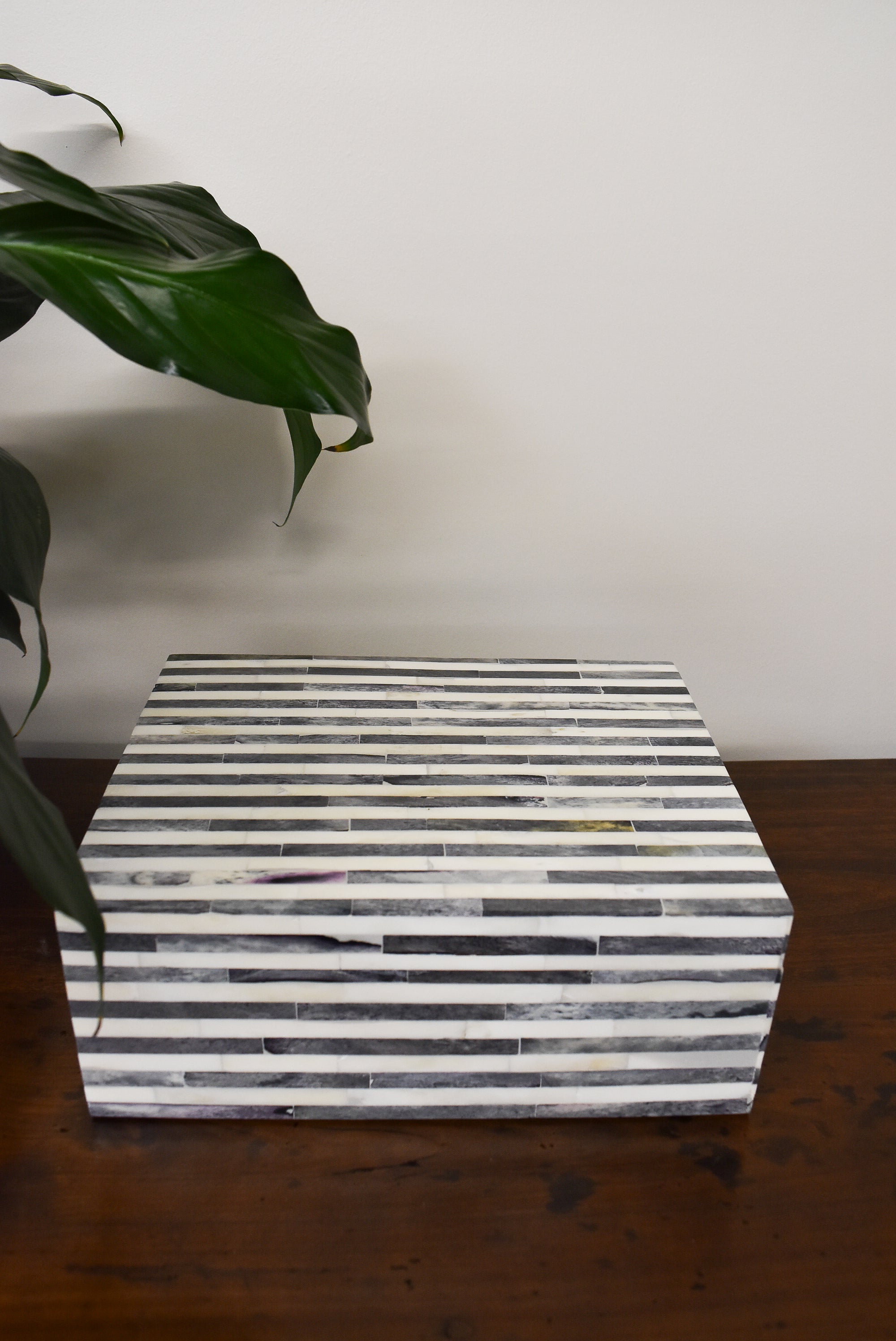 Gray and White Striped Bone Box