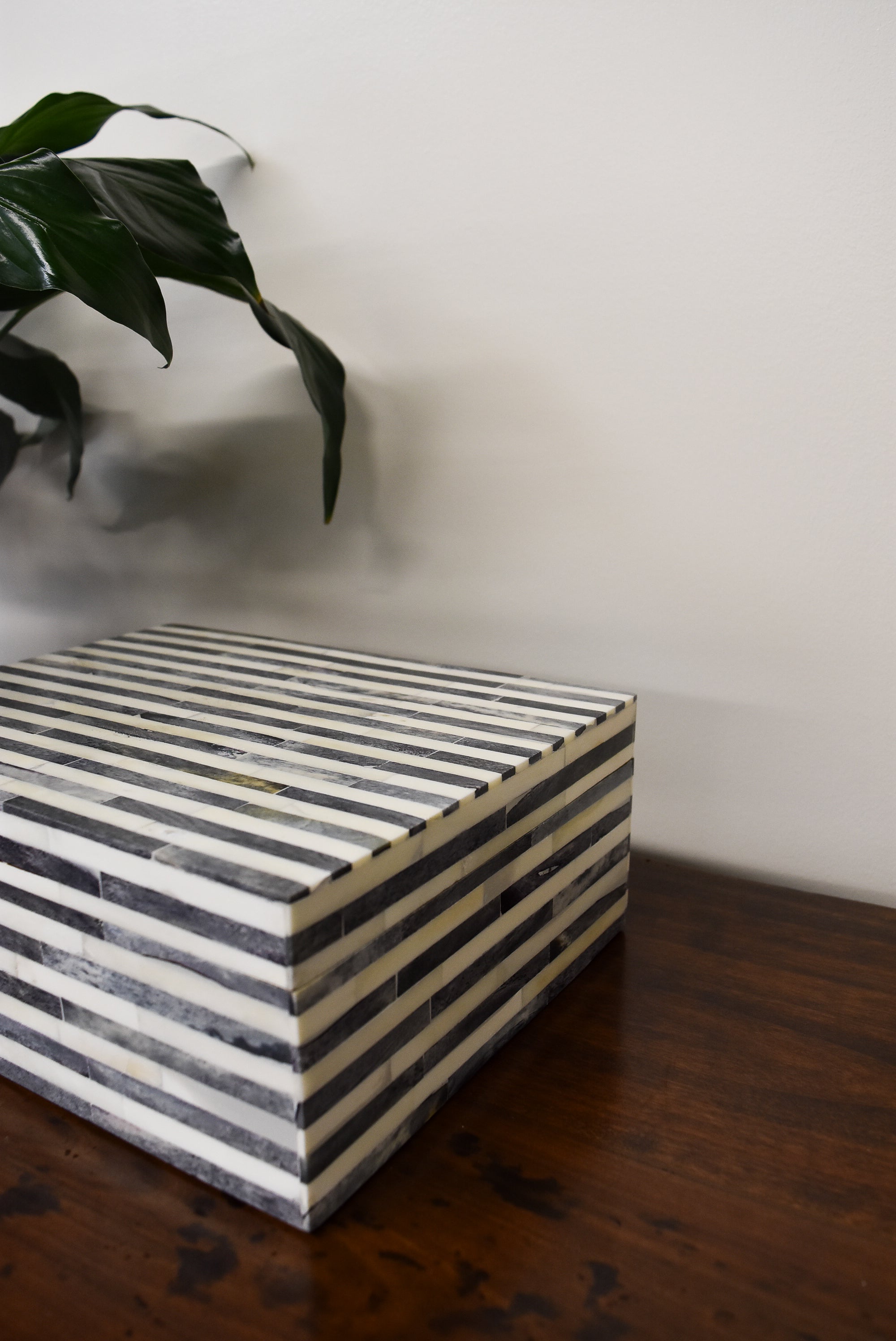 Gray and White Striped Bone Box