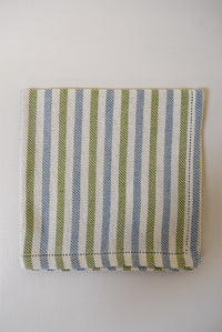 Pomelo Blue & Green Stripe Napkin