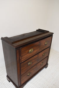 English Bookcase with Astragal Glazed Doors