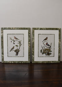Pair of Custom Framed Noseman Bird Prints No. 1