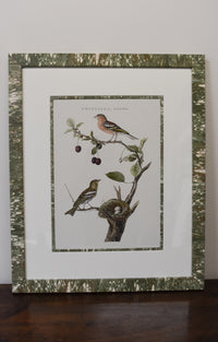 Pair of Custom Framed Noseman Bird Prints No. 1