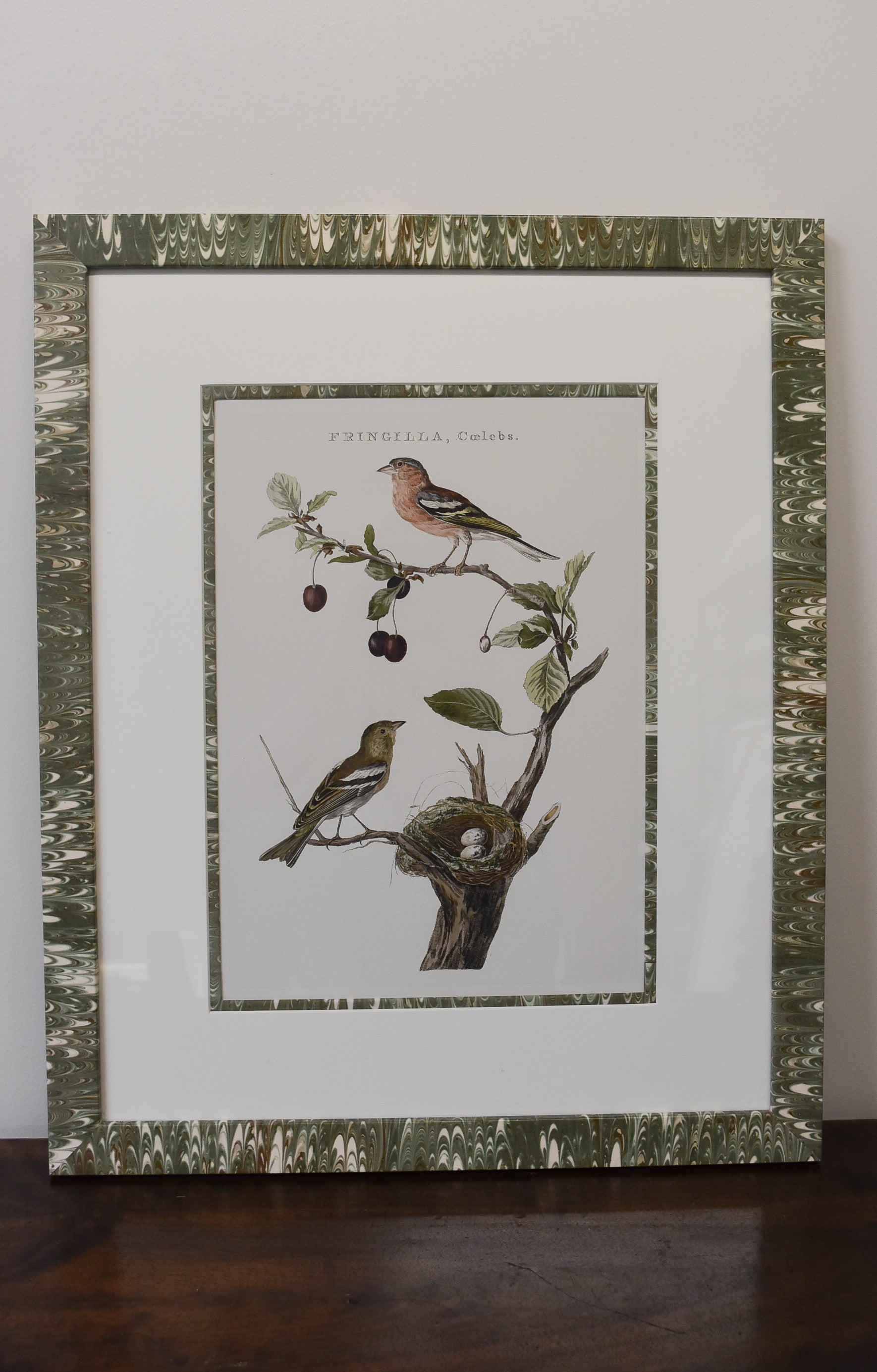 Pair of Custom Framed Noseman Bird Prints No. 1