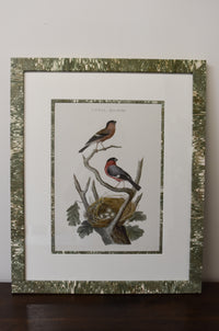 Pair of Custom Framed Noseman Bird Prints No. 1