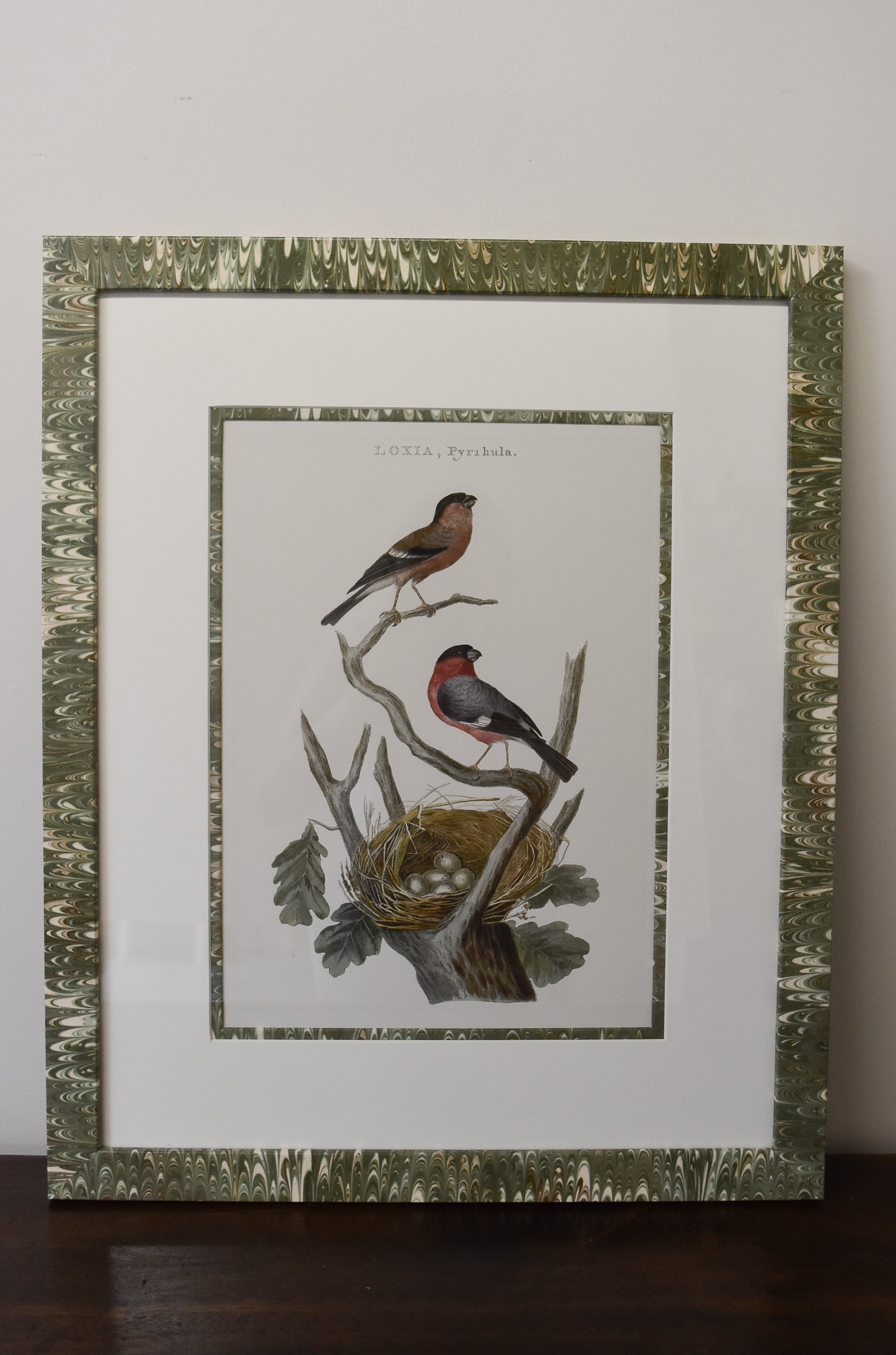 Pair of Custom Framed Noseman Bird Prints No. 1