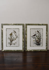 Pair of Custom Framed Noseman Bird Prints No.2