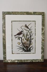 Pair of Custom Framed Noseman Bird Prints No.2