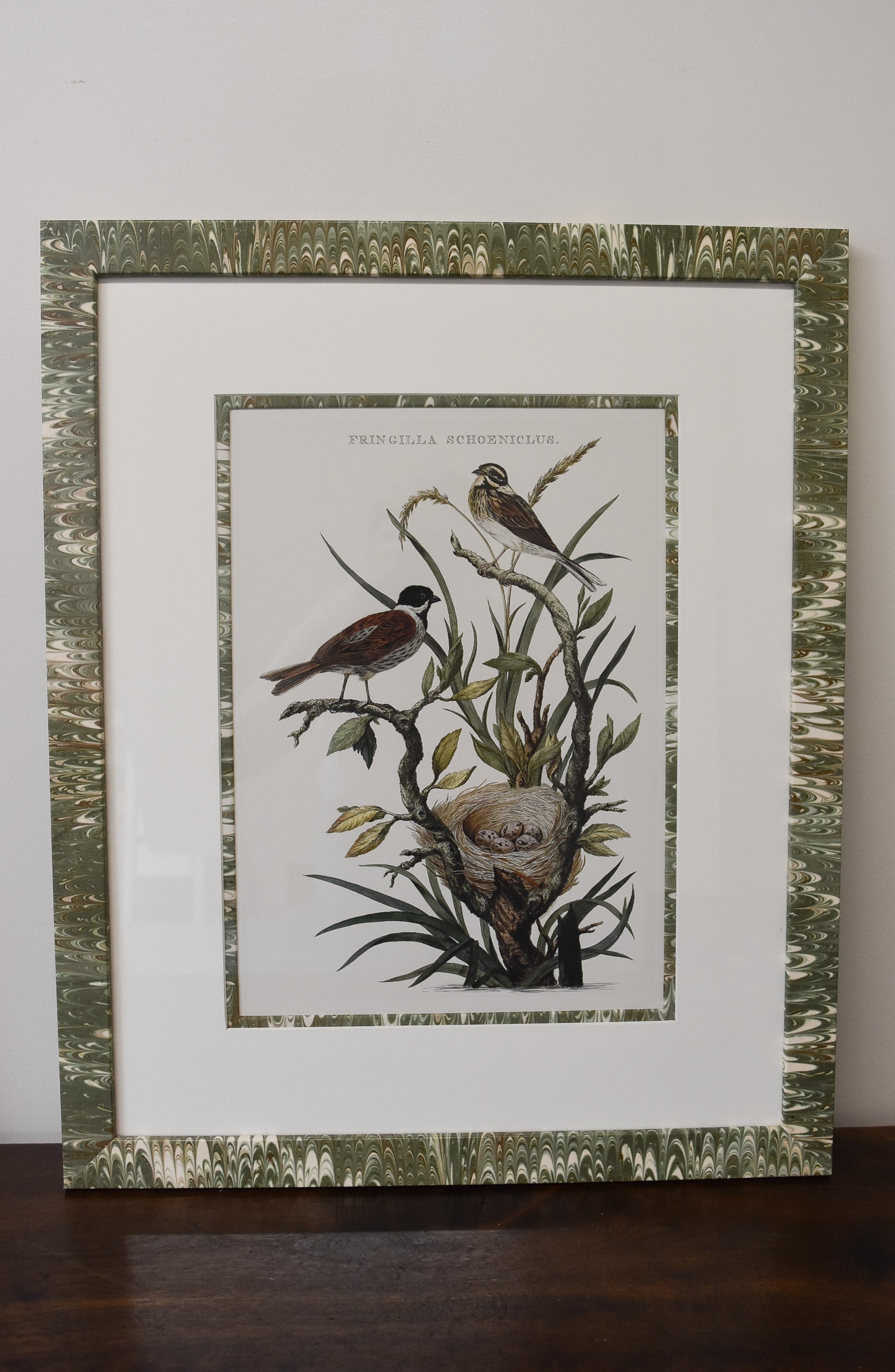 Pair of Custom Framed Noseman Bird Prints No.2