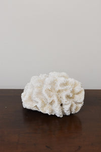 White Coral