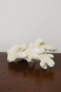 White Coral