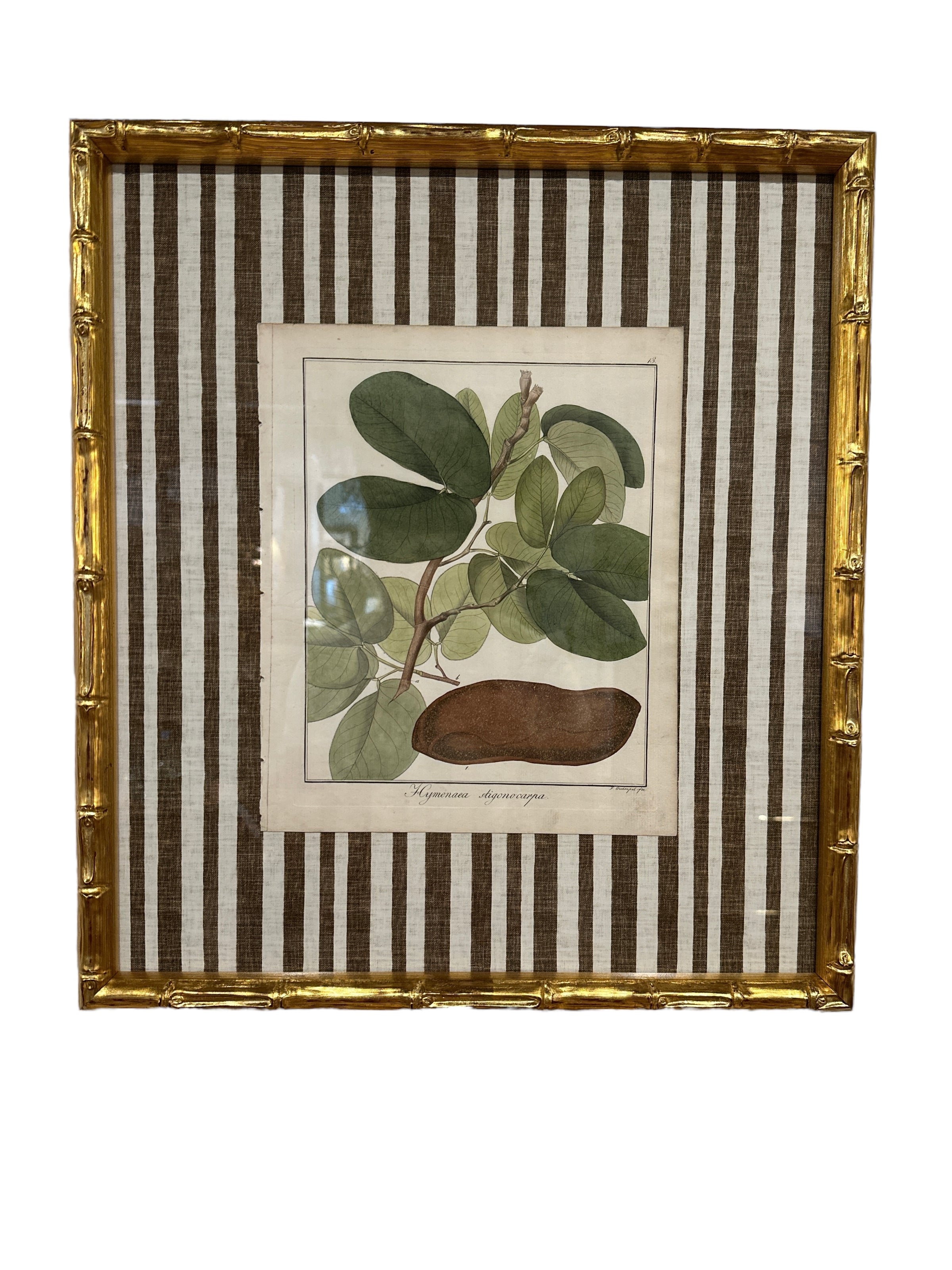Pair of Brown Striped Bamboo Framed Botanicals
