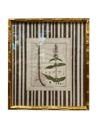 Pair of Brown Striped Bamboo Framed Botanicals