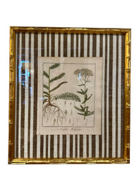 Pair of Brown Striped Bamboo Framed Botanicals