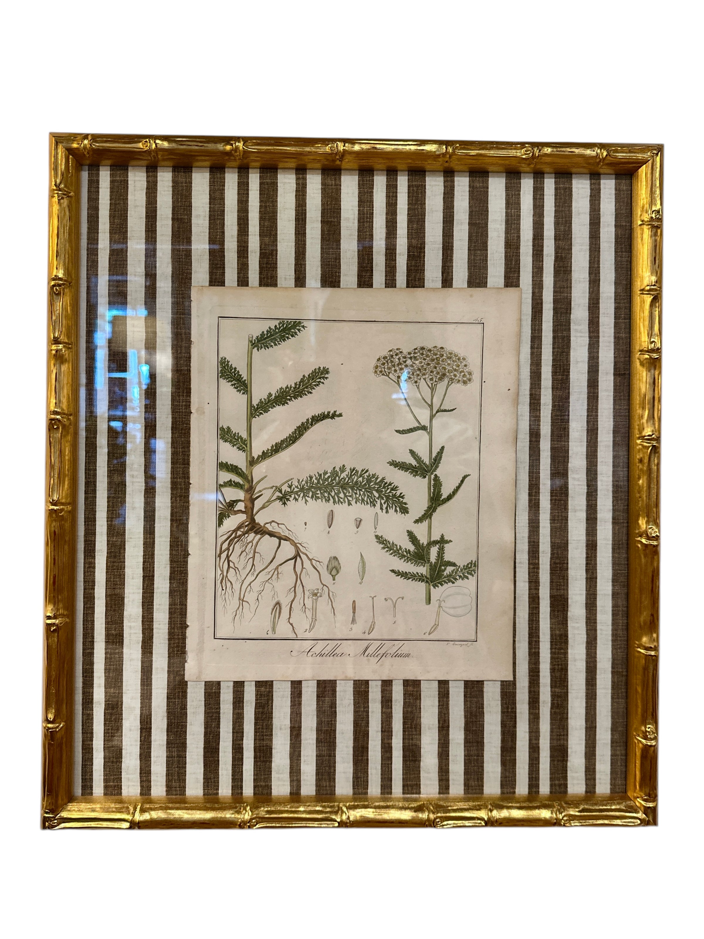 Pair of Brown Striped Bamboo Framed Botanicals