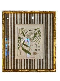 Pair of Brown Striped Bamboo Framed Botanicals
