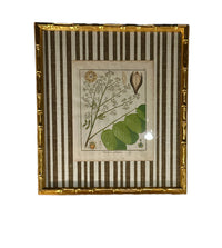 Pair of Brown Striped Bamboo Framed Botanicals