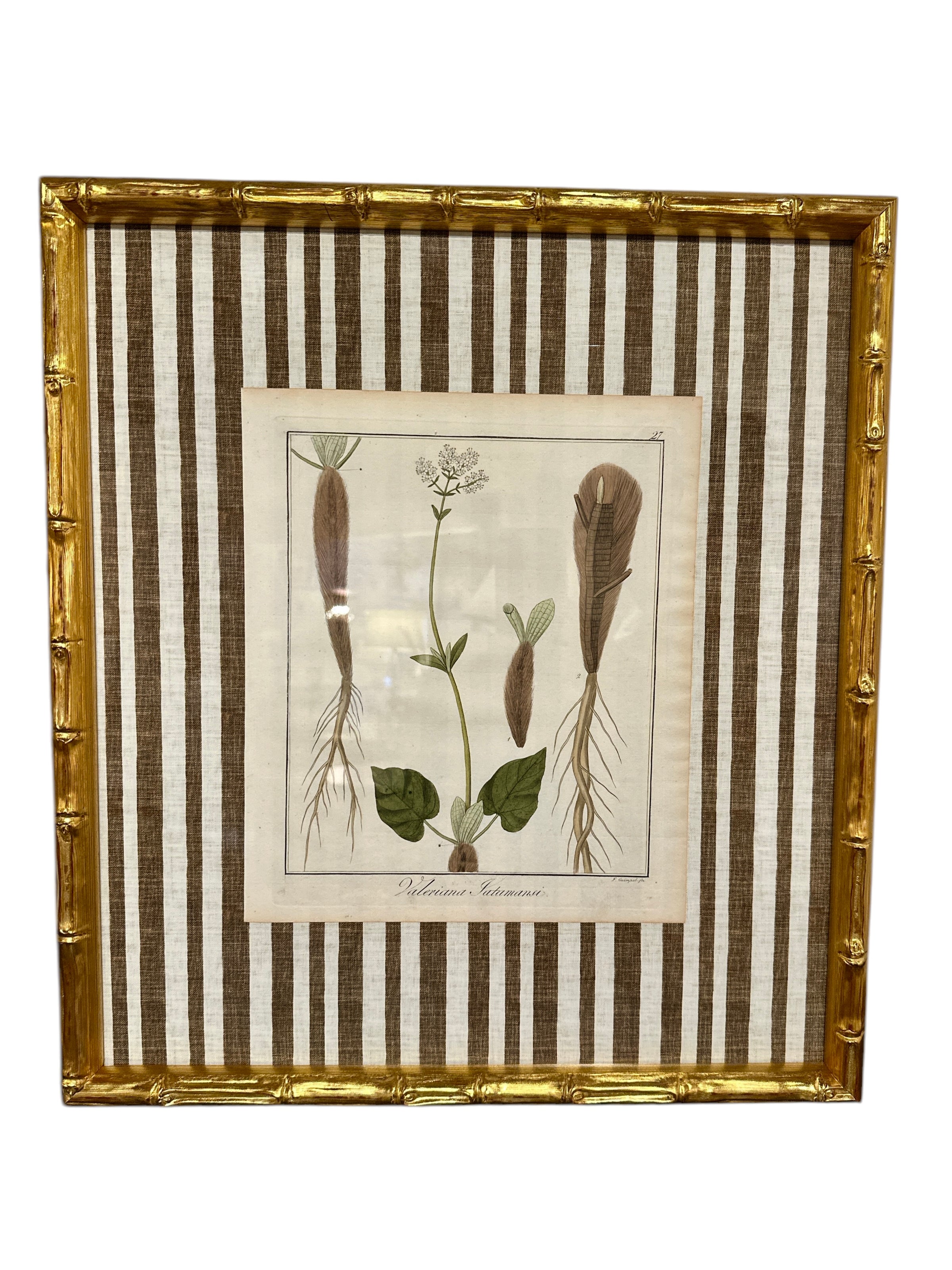 Pair of Brown Striped Bamboo Framed Botanicals