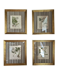 Pair of Brown Striped Matted Botanicals