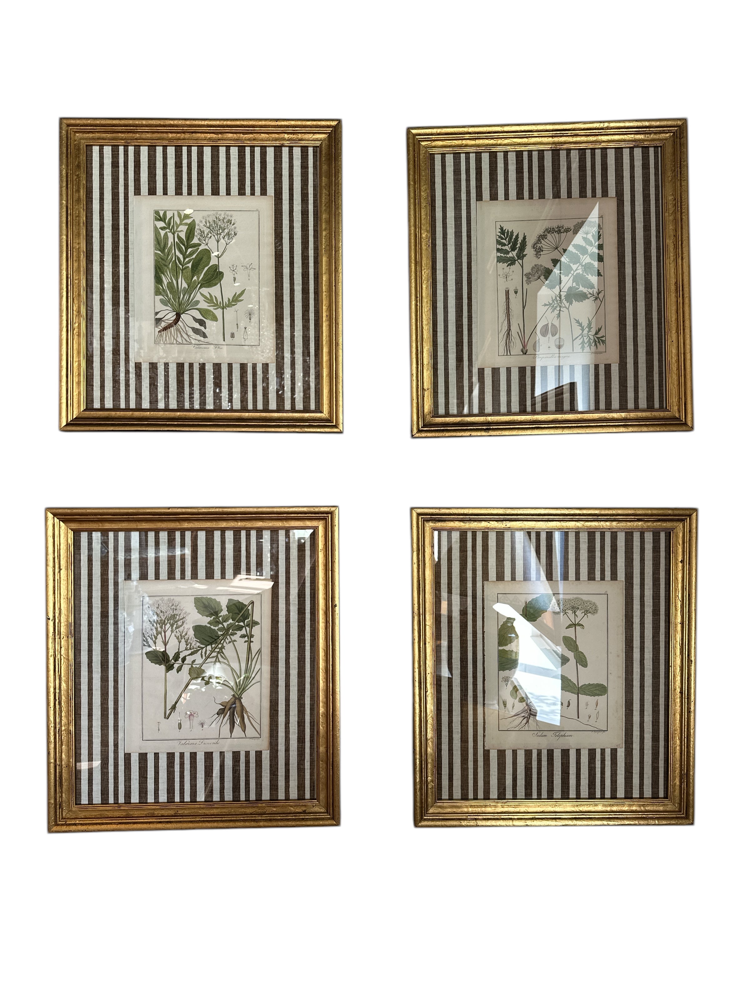 Pair of Brown Striped Matted Botanicals