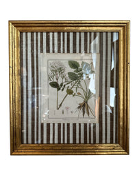 Pair of Brown Striped Matted Botanicals
