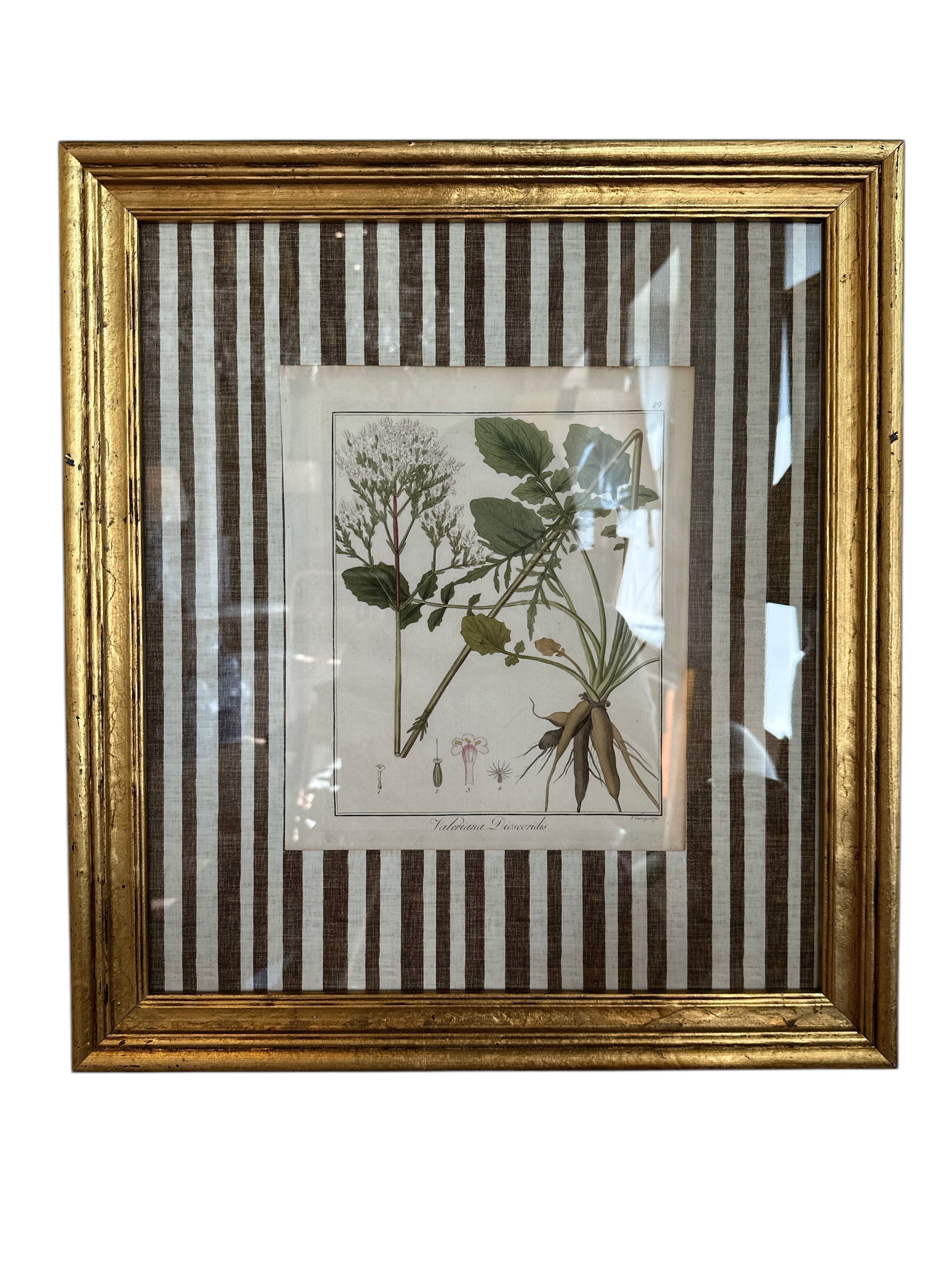 Pair of Brown Striped Matted Botanicals