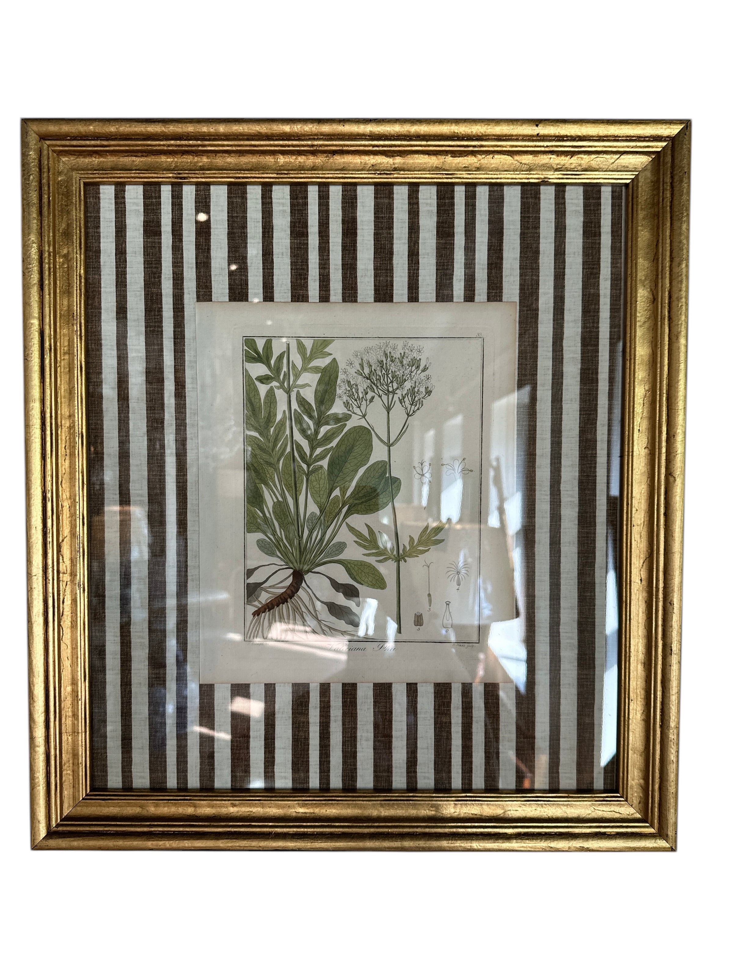 Pair of Brown Striped Matted Botanicals