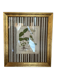 Pair of Brown Striped Matted Botanicals