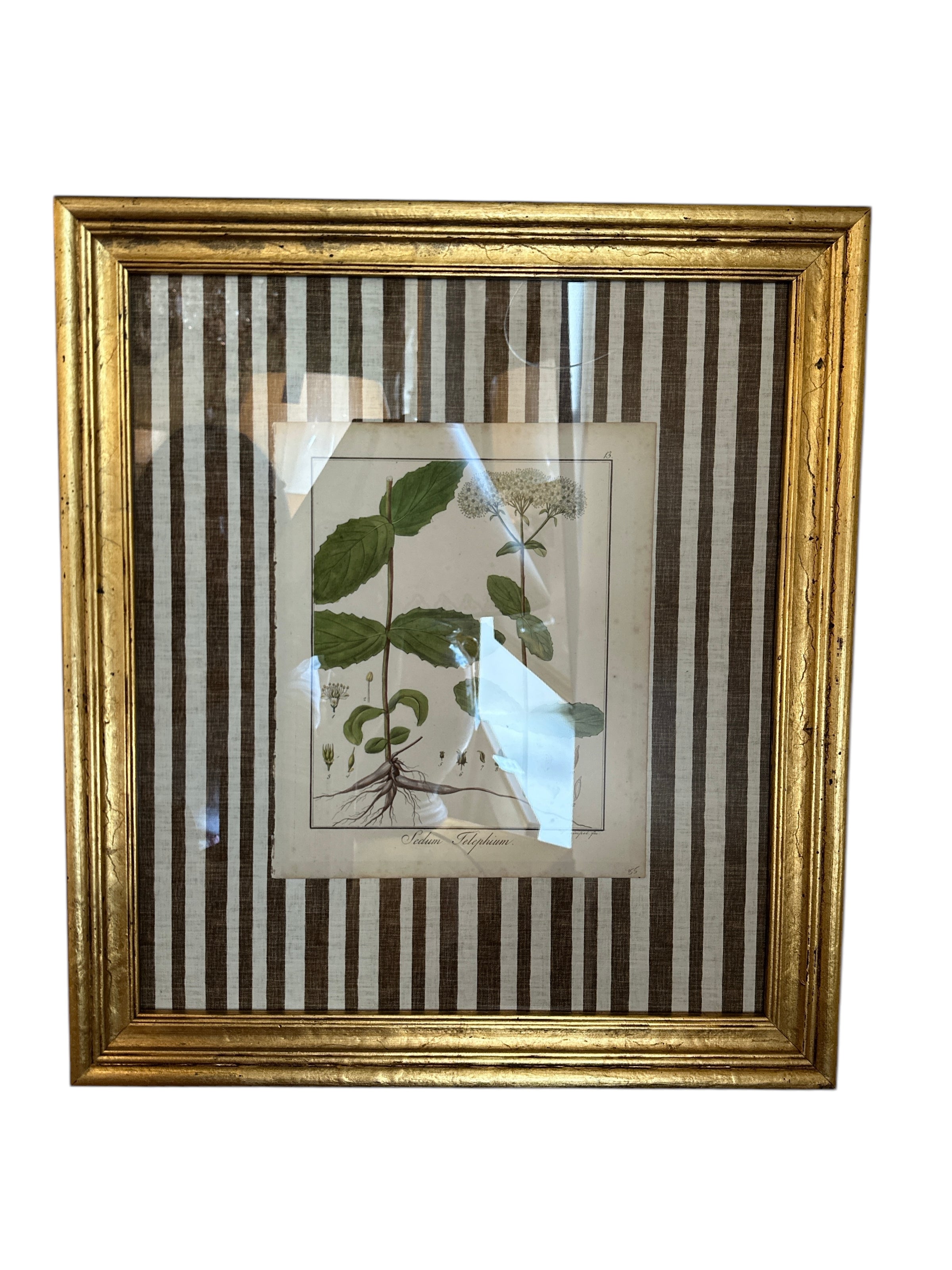 Pair of Brown Striped Matted Botanicals