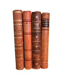 Set of 4 Assorted Antique Books