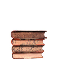 Set of 4 Assorted Antique Books