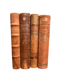 Set of 4 Assorted Antique Books